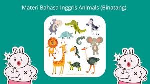 materi animals